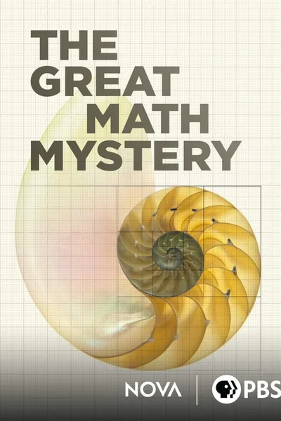 NOVA: The Great Math Mystery