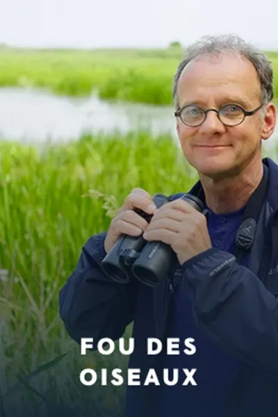 Fou des oiseaux