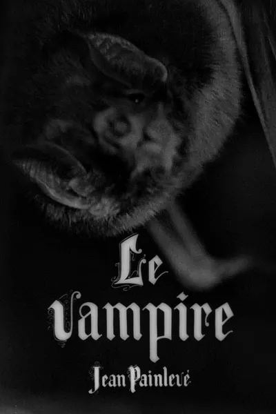 The Vampire