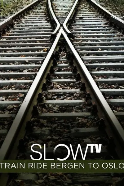 Slow TV: Train Ride Bergen to Oslo