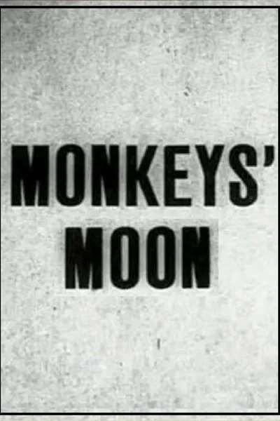 Monkey's Moon
