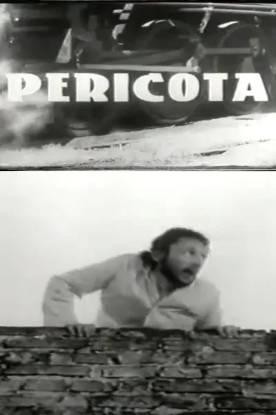 Pericota