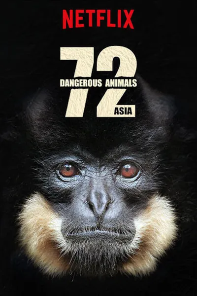 72 Dangerous Animals: Asia