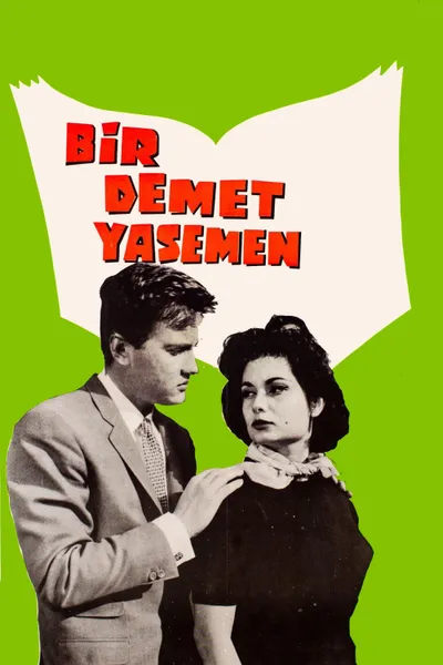 Bir Demet Yasemen