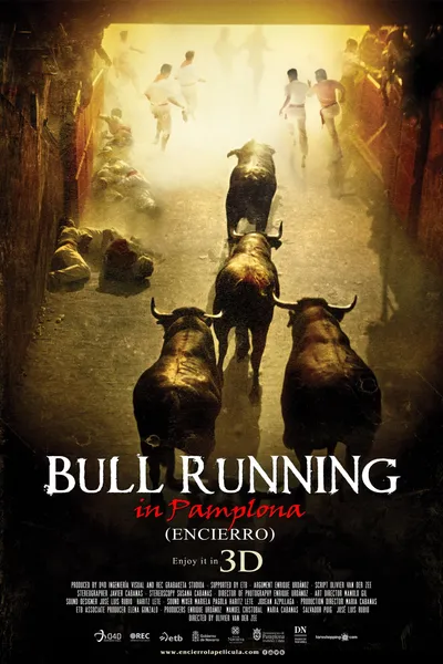 Encierro 3D: Bull Running in Pamplona