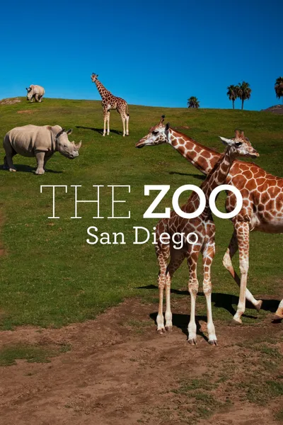 The Zoo: San Diego