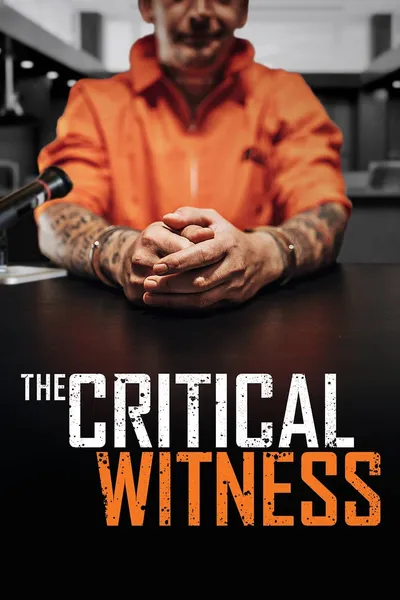 The Critical Witness