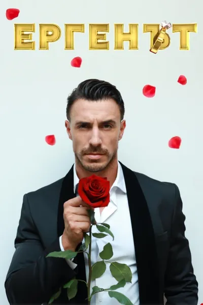 The Bachelor bTV