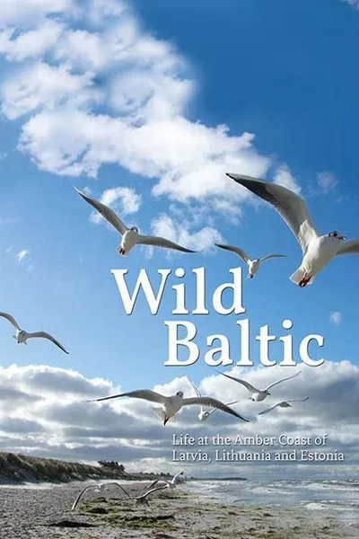 Wild Baltic