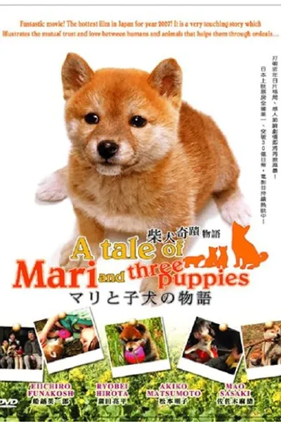 A Tale of Mari and Three Puppies