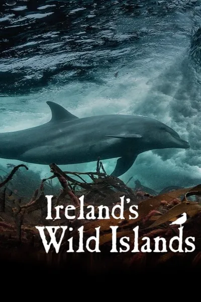 Ireland's Wild Islands