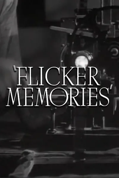 Flicker Memories