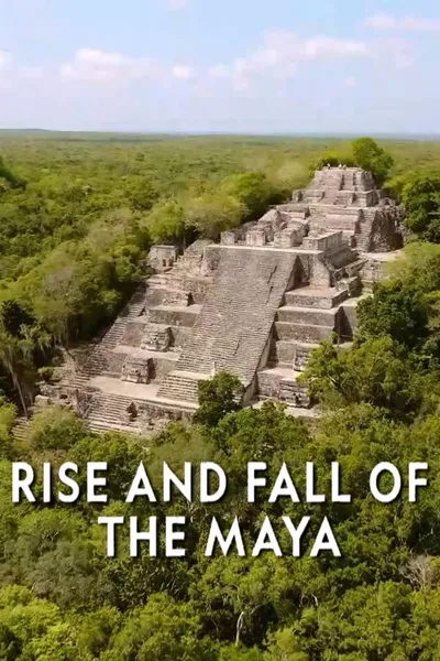 The Rise and Fall of the Maya