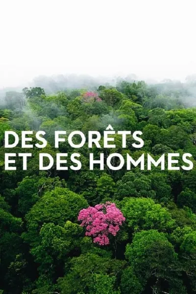 Forests and People