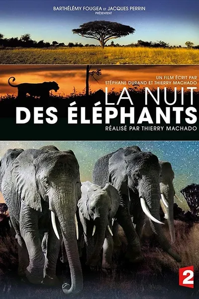 La Nuit des éléphants