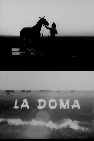 La doma