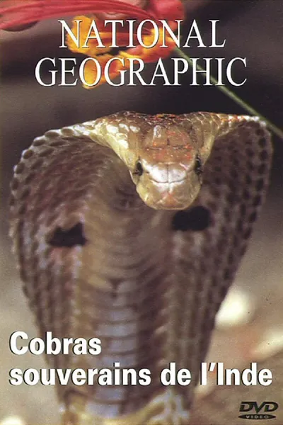 National Geographic : Cobras souverains de l'inde