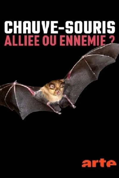 Chauve-souris: alliée ou ennemie?
