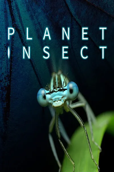 Planet Insect