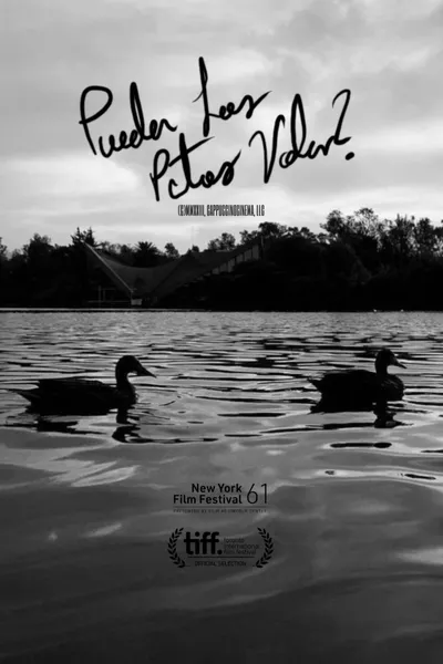 Can Ducks Fly?