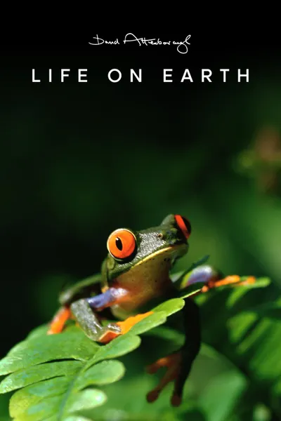 Life on Earth