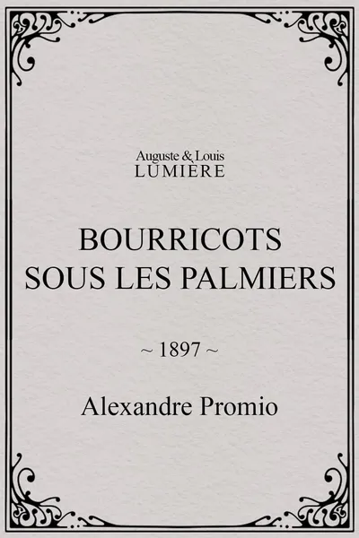 Bourricots sous les palmiers