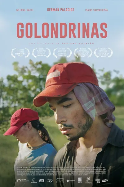 Golondrinas