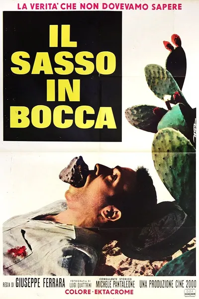 Il sasso in bocca