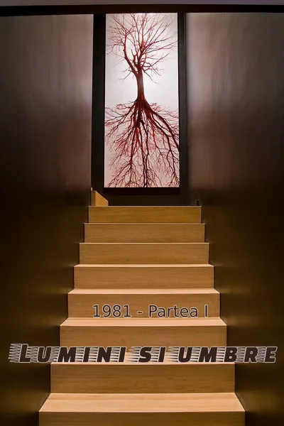 Lumini și umbre