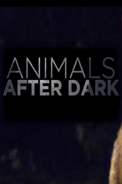 Animals After Dark