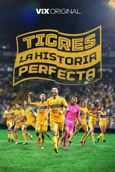 Tigres: La historia perfecta