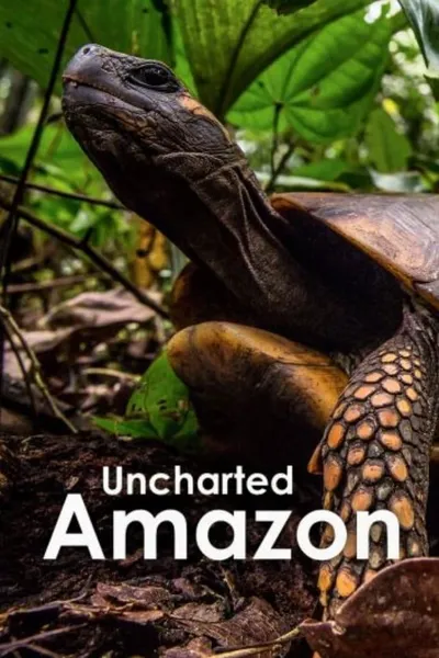 Uncharted Amazon