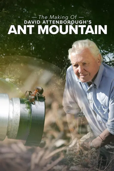 The Making of David Attenborough's Ant Mountain