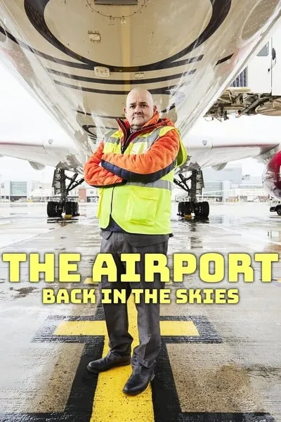 The Airport: Back in the Skies