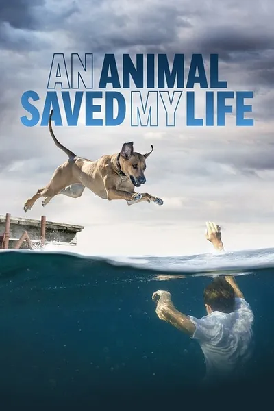 An Animal Saved My Life