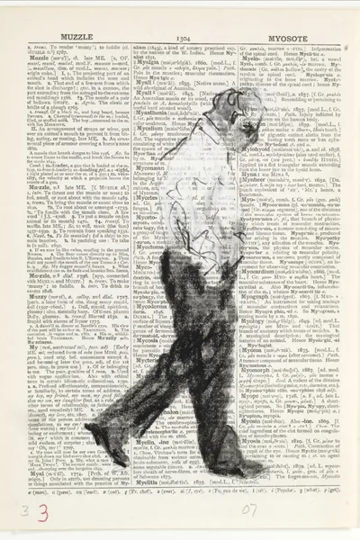 Second-hand Reading