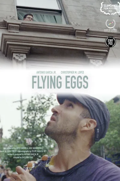 Flying Eggs