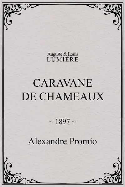 Caravane de chameaux