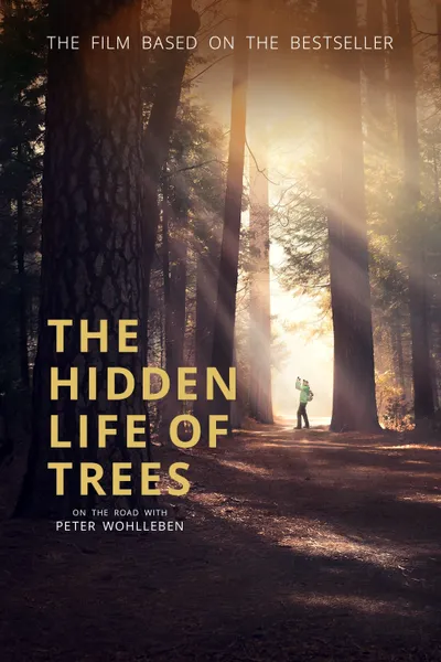 The Hidden Life of Trees