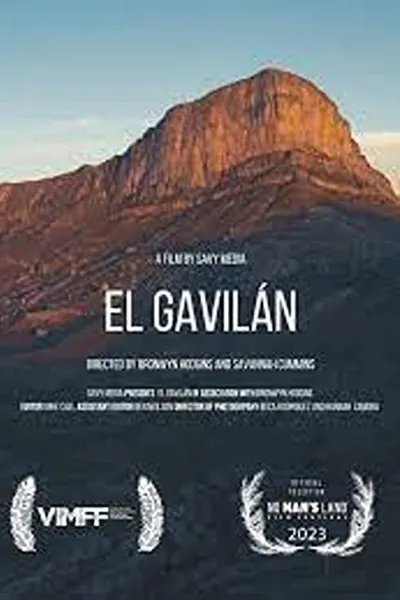 El Gavilan