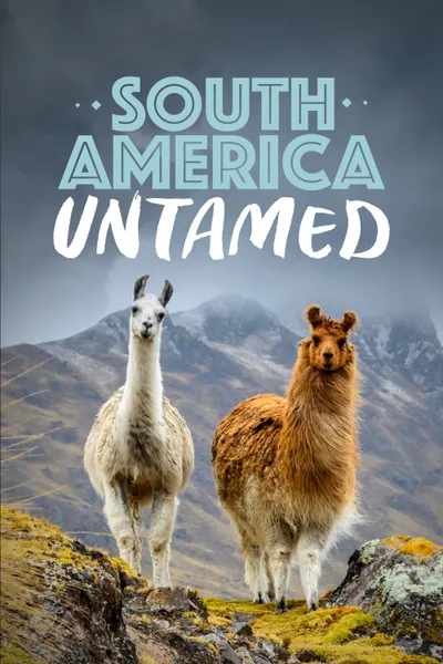 South America Untamed