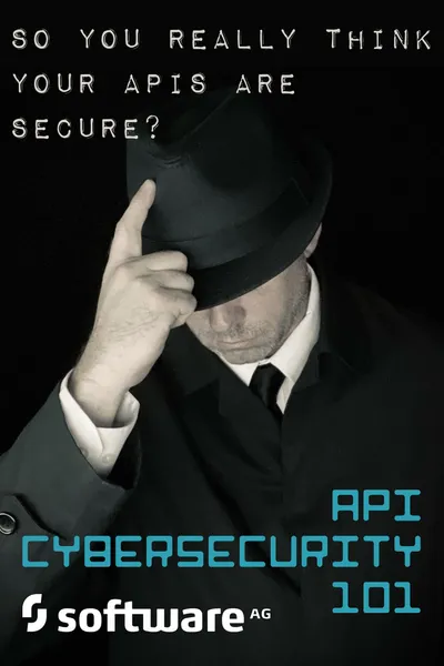 API Cybersecurity 101