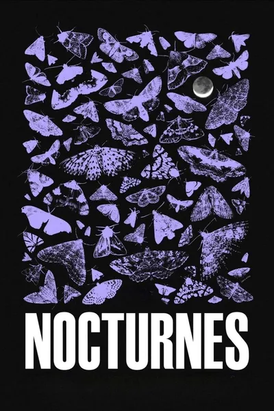 Nocturnes