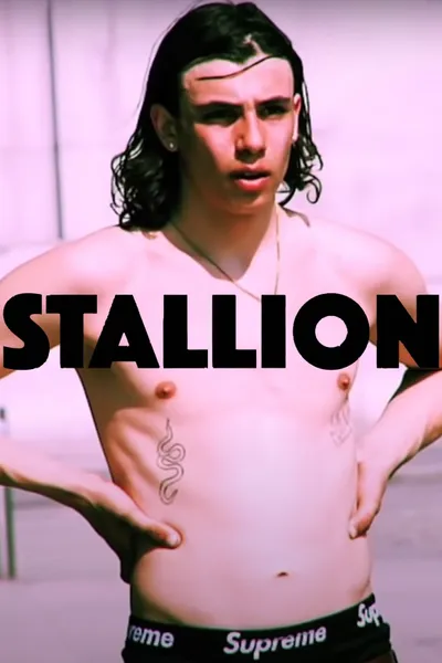 STALLION