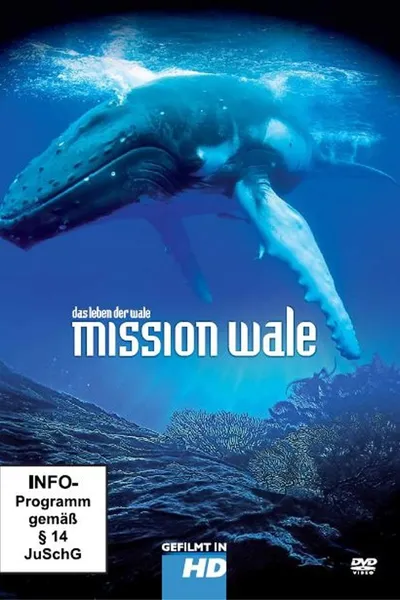 Mission Wale