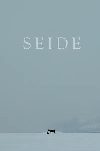 Seide