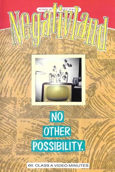 Negativland: No Other Possibility