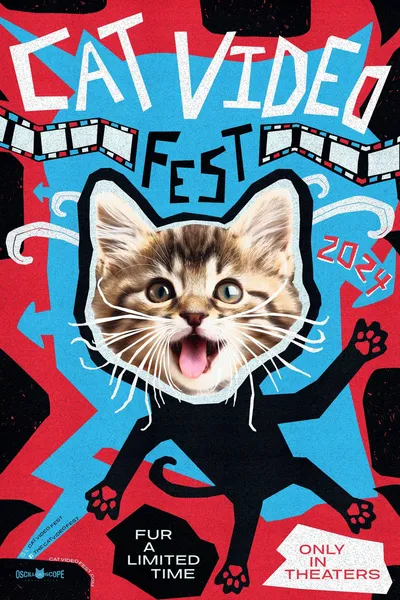 Cat Video Fest 2024