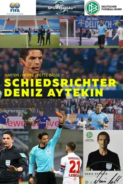 Karten, Pfiffe, fette Bässe - Schiedsrichter Deniz Aytekin