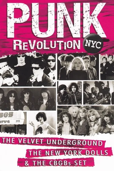 Punk Revolution NYC